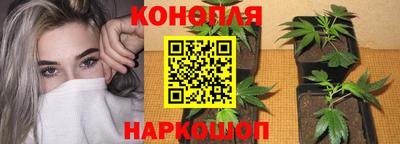 spice Гусь-Хрустальный