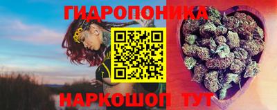 spice Гусь-Хрустальный