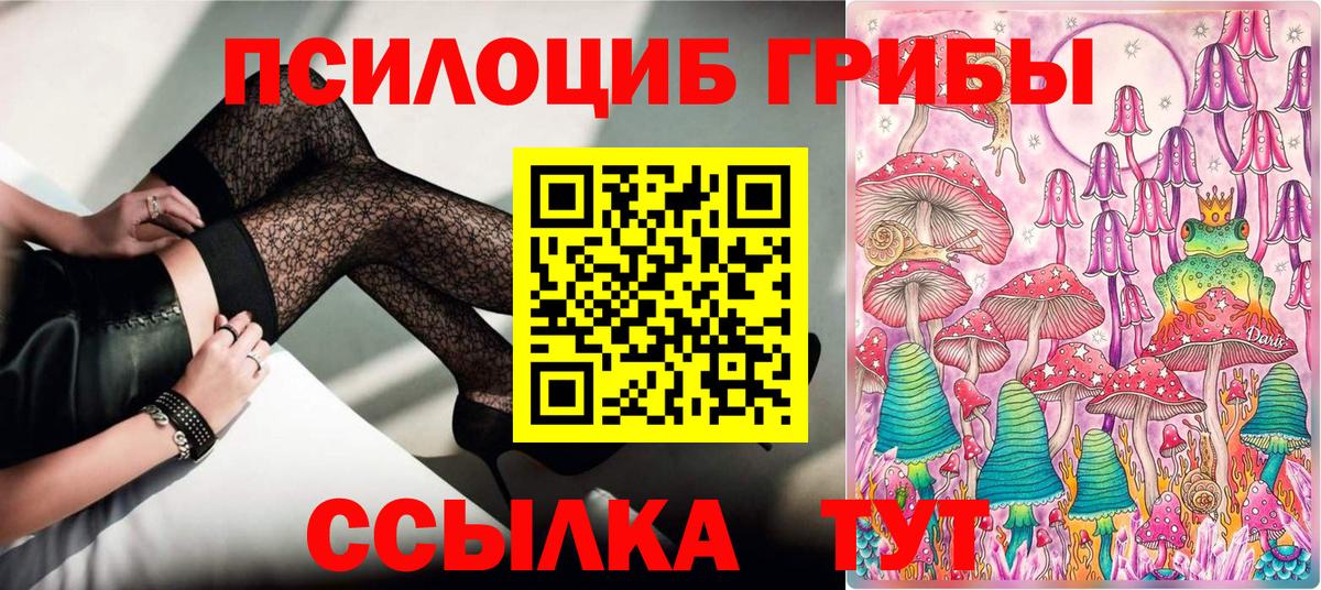 Галлюциногенные грибы MAGIC MUSHROOMS  Псилоцибиновые грибы GOLDEN TEACHER  Буйнакск  Вход с VPN 