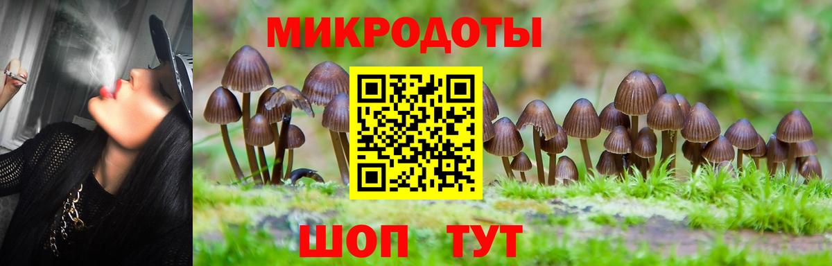 Галлюциногенные грибы MAGIC MUSHROOMS Буйнакск